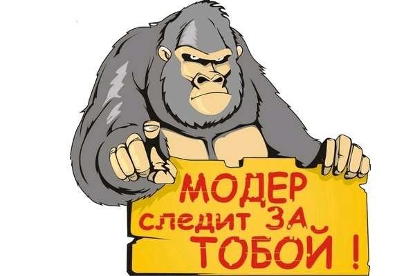 Даркнет заказ
