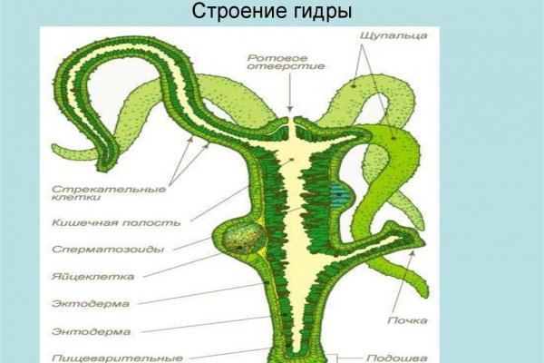 Кракен зеркало на тор