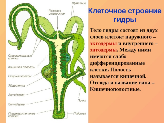 Как войти на кракен